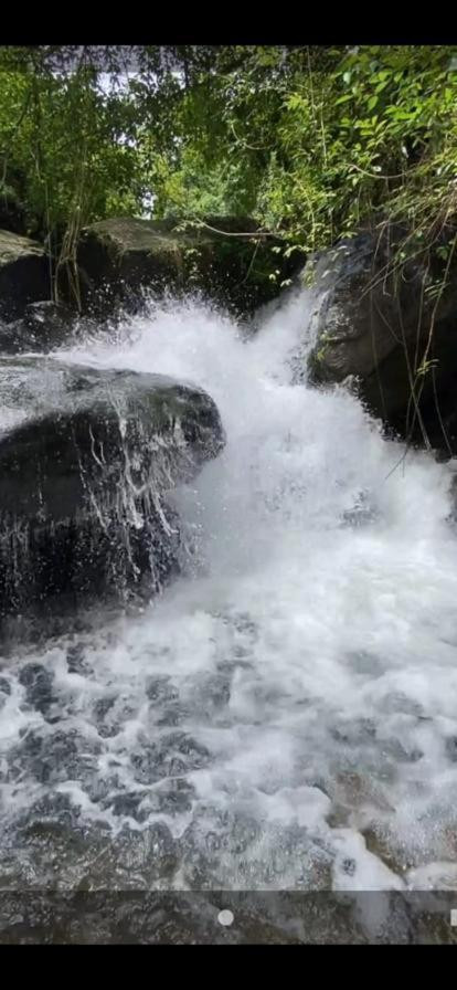 Earth Lounge Resort Vagamon Bagian luar foto