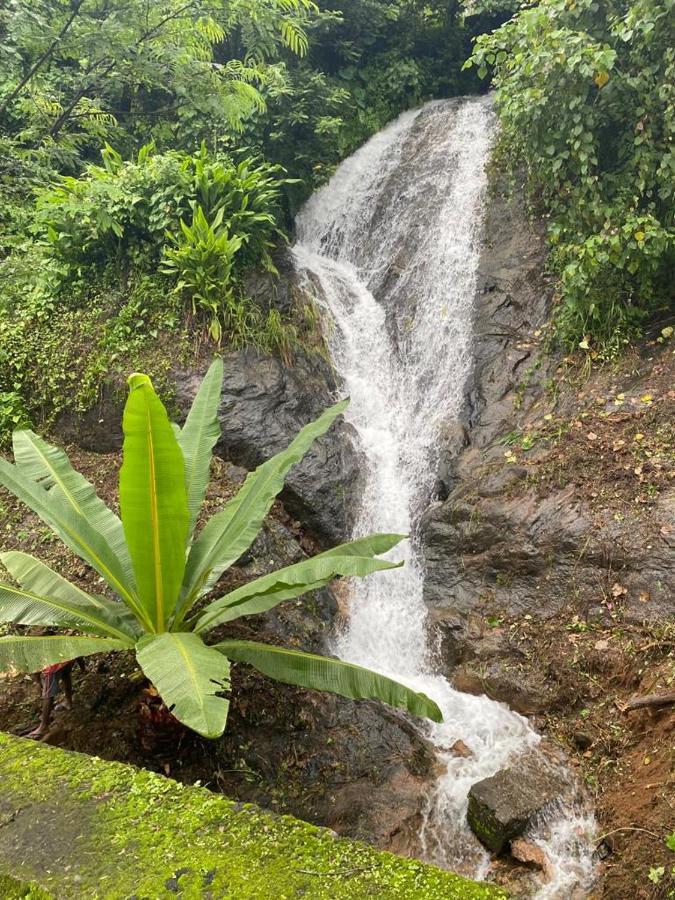Earth Lounge Resort Vagamon Bagian luar foto
