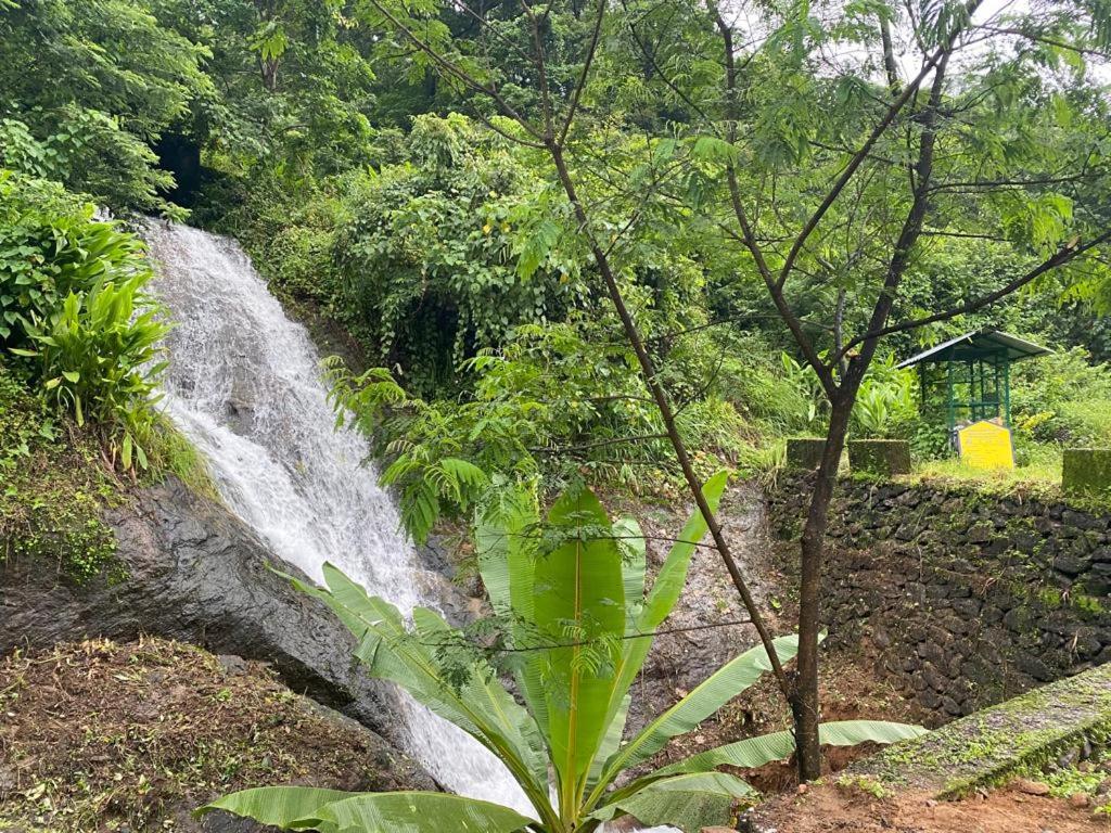Earth Lounge Resort Vagamon Bagian luar foto